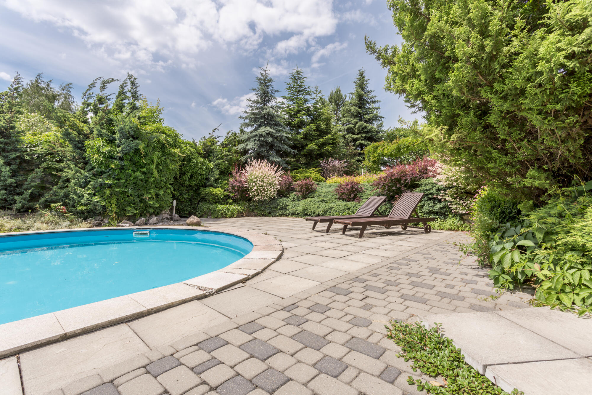 What Are the Best Plants for Natural Swimming Pools?