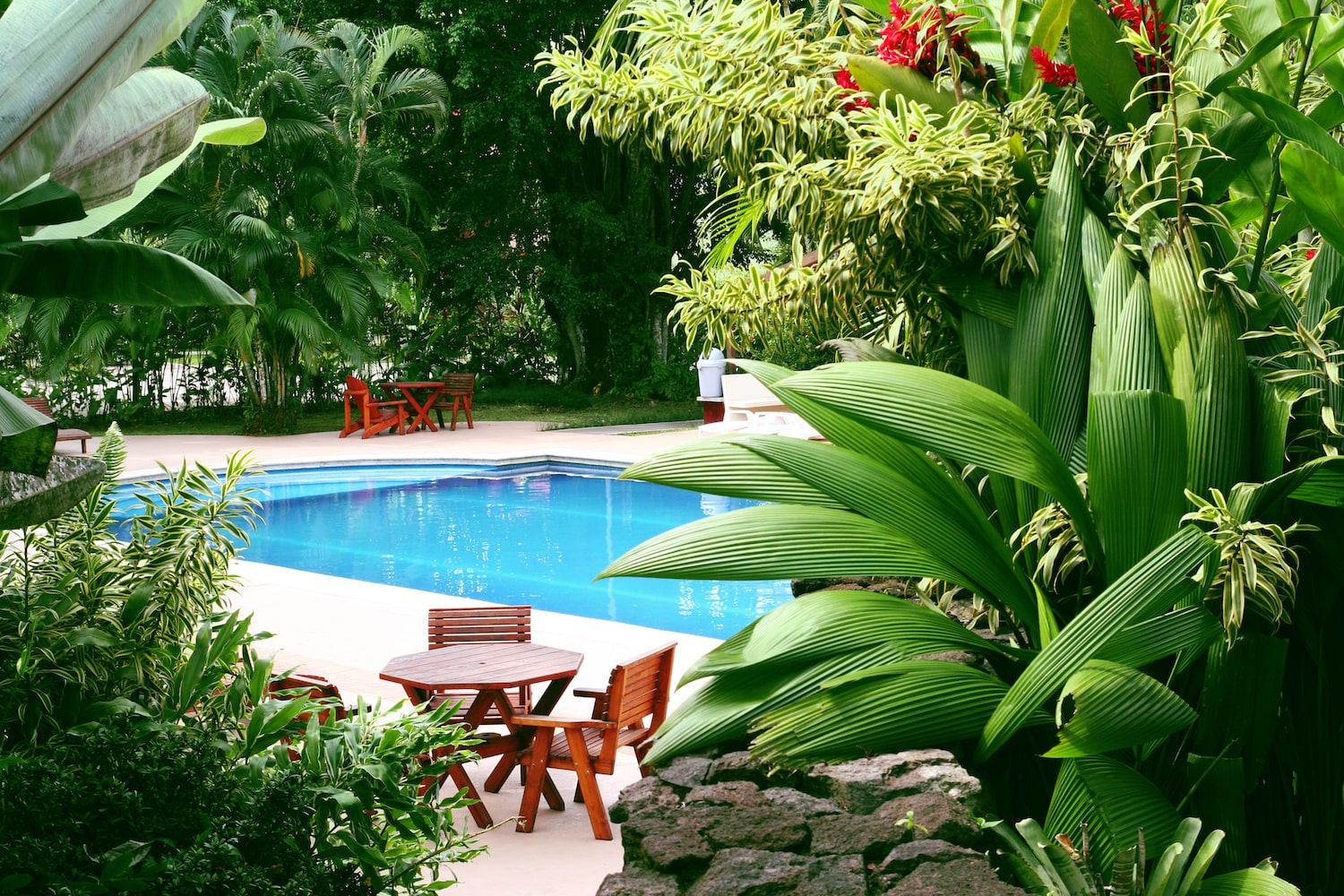 Creating a Tropical Paradise: Plants and Landscaping for Your Pool Area
